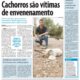 cachorros são envenenados em Blumenau estricnina veneno pet animal de estimação Cristian Edel Weiss Jornal de Santa Catarina jornalista de dados multimídia Alemanha Brasil